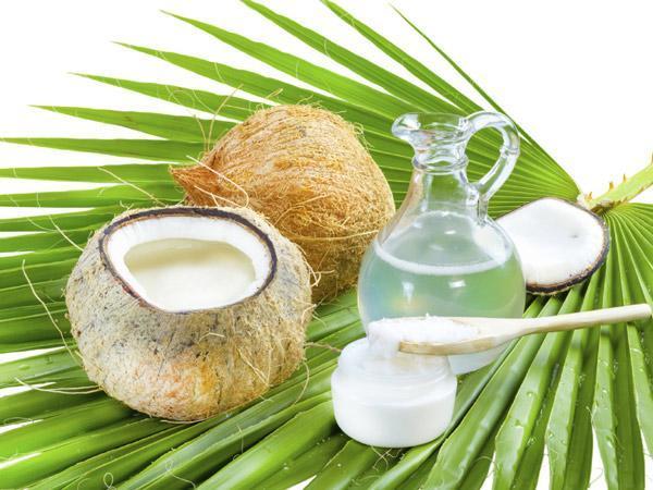 Coconut Fruit